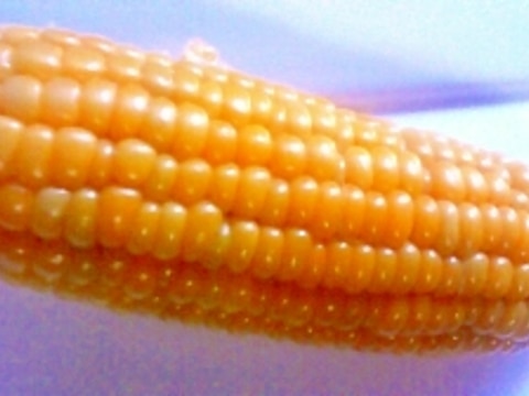 プチプチのまま!!とうもろこしの茹で方&保存方法